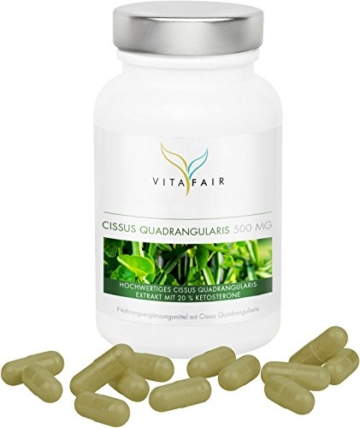 Cissus Quadrangularis Extrakt | 500mg pro Tagesdosis | 90 Kapseln | 20% Ketosterone = 100mg | Hochdosiert | Vegan | Ohne Magnesiumstearat | Made in Germany - 2