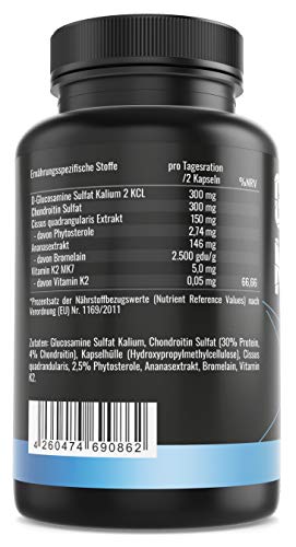 GYM-NUTRITION® — Cissus Plus – Cissus Quadrangularis – Cissus-Extrakt mit Vitamin K2 – beliebt bei Verletzungen an Gelenk Muskel, Sehne, Bänder — vegan hochdosiert Made in Germany — 120 Kapseln - 2