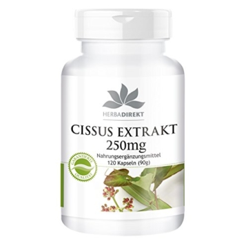 Herbadirekt - CISSUS EXTRAKT 250mg - 120 vegane Kapseln - 20% Ketosterone - 1