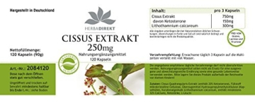 Herbadirekt - CISSUS EXTRAKT 250mg - 120 vegane Kapseln - 20% Ketosterone - 4