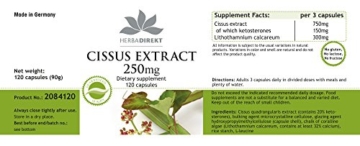Herbadirekt - CISSUS EXTRAKT 250mg - 120 vegane Kapseln - 20% Ketosterone - 5