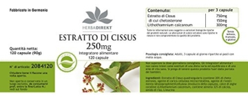 Herbadirekt - CISSUS EXTRAKT 250mg - 120 vegane Kapseln - 20% Ketosterone - 8