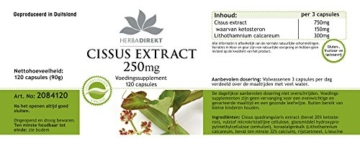 Herbadirekt - CISSUS EXTRAKT 250mg - 120 vegane Kapseln - 20% Ketosterone - 9