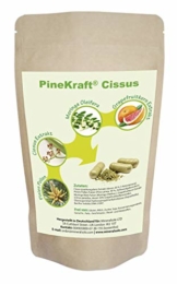 Pinien Pine Pollen I Cissus quadrangularis Extrakt 3-Ketosterone I Grapefruitkern Extrakt 50% Grapefruitbioflavonoide I Moringa Oleifera I PINEKRAFT CISSUS I 270 Kapseln / 140g - 1