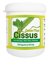 Cissus Osteo Plus I 240 Kapseln je 650g I Cissus quadrangularis ein Knochenspezialist mit 20% 3-Ketosterone - 1